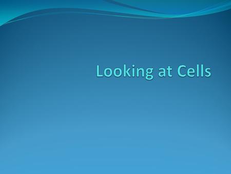 Looking at Cells.