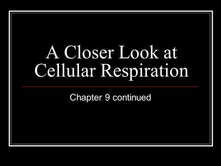 A Closer Look at Cellular Respiration