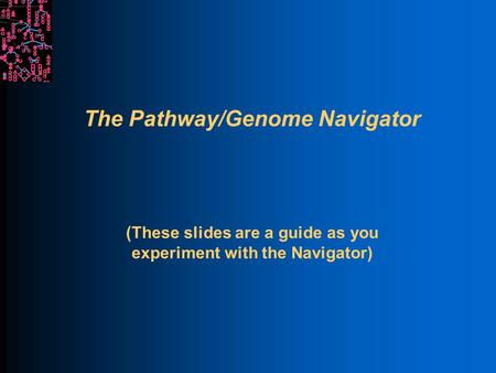 The Pathway/Genome Navigator (These slides are a guide as you experiment with the Navigator)