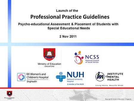 Professional Practice Guidelines