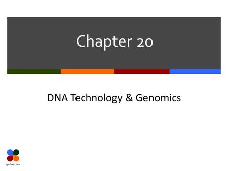 Chapter 20 DNA Technology & Genomics. Slide 2 of 14 Biotechnology Terms Biotechnology Process of manipulating organisms or their components to make useful.