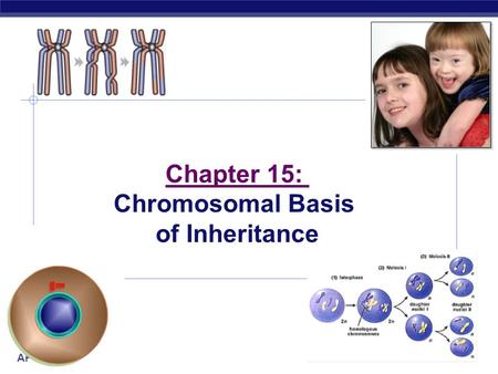 Chapter 15: Chromosomal Basis of Inheritance