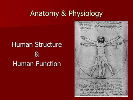 Anatomy & Physiology Human Structure & Human Function.