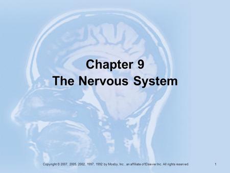 Chapter 9 The Nervous System