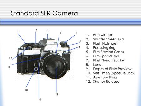 Standard SLR Camera 1.Film winder 2.Shutter Speed Dial 3.Flash Hotshoe 4.Focusing ring 5.Film Rewind Crank 6.Film Speed Dial 7.Flash Synch Socket 8.Lens.