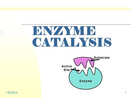 1/22/20141 ENZYME CATALYSIS. 1/22/20142 ENZYMES Globular Proteins Active Site One Substrate only Induced Fit: Changes occur when meet with substrate.
