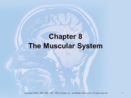 Chapter 8 The Muscular System