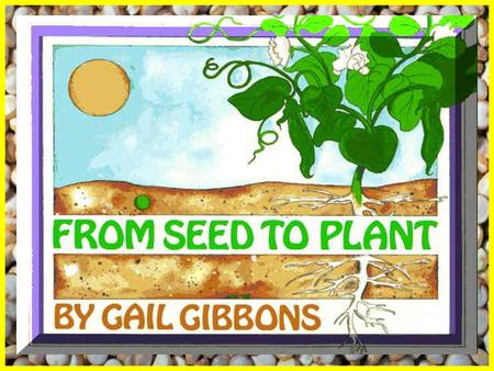 Vocabulary for From Seeds to Plants. Vocabulary for From Seeds to Plants