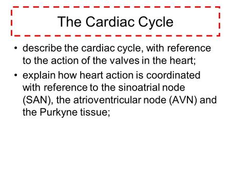 The Cardiac Cycle describe the cardiac cycle, with reference to the action of the valves in the heart; explain how heart action is coordinated with reference.