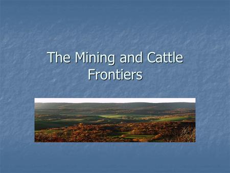 The Mining and Cattle Frontiers