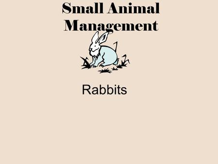 Small Animal Management
