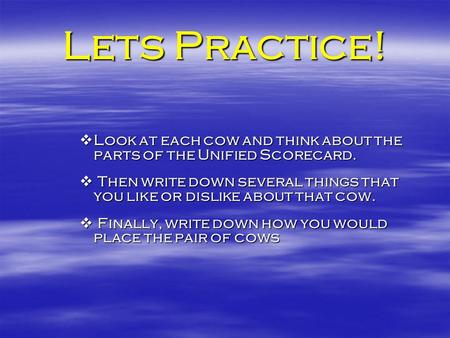 Lets Practice! Look at each cow and think about the parts of the Unified Scorecard. Look at each cow and think about the parts of the Unified Scorecard.