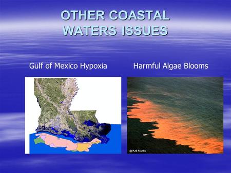 OTHER COASTAL WATERS ISSUES Gulf of Mexico HypoxiaHarmful Algae Blooms.