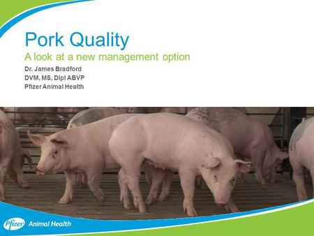 Pork Quality A look at a new management option