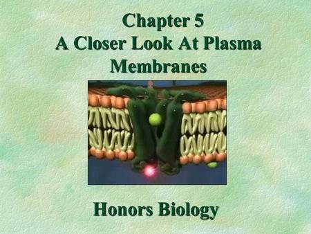 Chapter 5 A Closer Look At Plasma Membranes