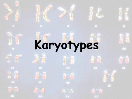 Karyotypes.