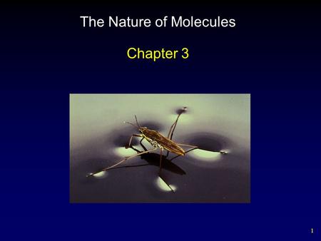 1 The Nature of Molecules Chapter 3. 2 Atoms 3 Kinds of Atoms Ninety-two naturally occurring elements – Periodic table arranged by grouping atoms based.