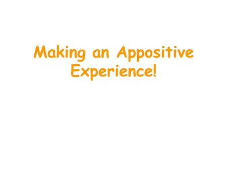 Making an Appositive Experience!