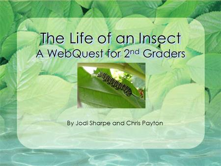 The Life of an Insect A WebQuest for 2 nd Graders By Jodi Sharpe and Chris Payton.