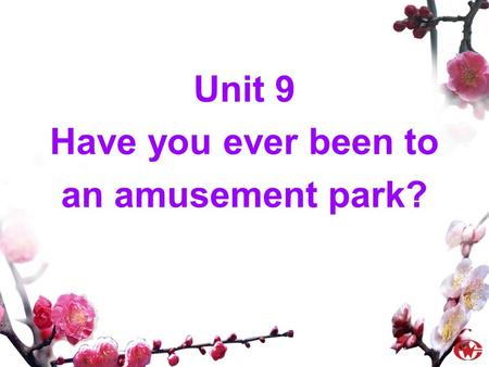 Unit 9 Have you ever been to an amusement park?