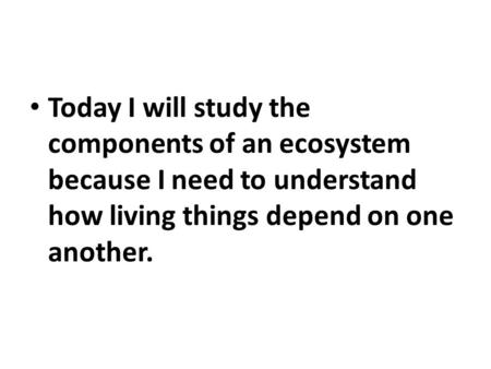 Today I will study the components of an ecosystem because I need to understand how living things depend on one another.