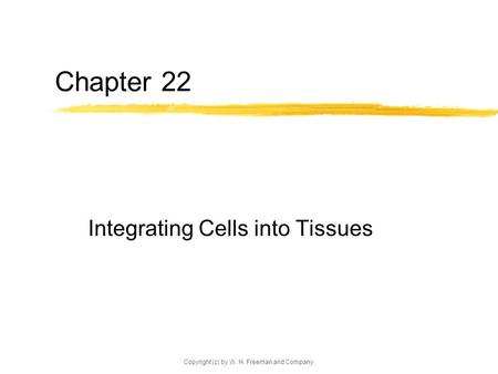 Integrating Cells into Tissues