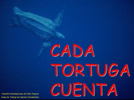 CADA TORTUGA CUENTA Comisión Interamericana del Atún Tropical Grupo de Trabajo de Capturas Incidentales.