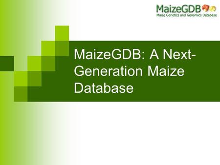 MaizeGDB: A Next-Generation Maize Database