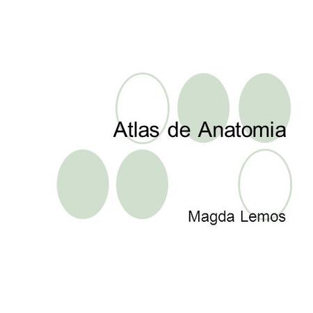 Atlas de Anatomia Magda Lemos. Atlas de Anatomia Catarina Oliveira.