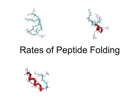 Rates of Peptide Folding. AP A 5 (A 3 RA) 3 A Ref: Lednev I. K. et al. J. Am. Chem. Soc. 1999, 121, 8074-8086. A 21 amino acid, mainly alanine, α-helical.
