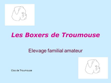 Les Boxers de Troumouse Elevage familial amateur Clos de Troumouse.