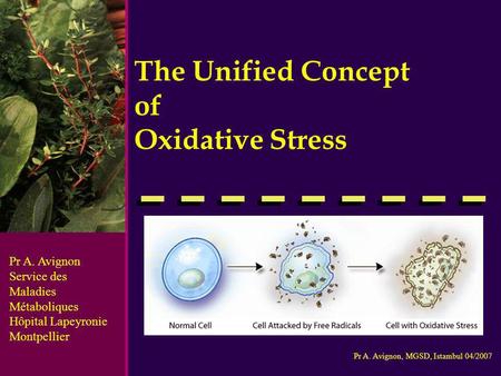 The Unified Concept of Oxidative Stress