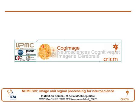 NEMESIS: image and signal processing for neuroscience Institut du Cerveau et de la Moelle épinière CRICM – CNRS UMR 7225 – Inserm UMR_S975.