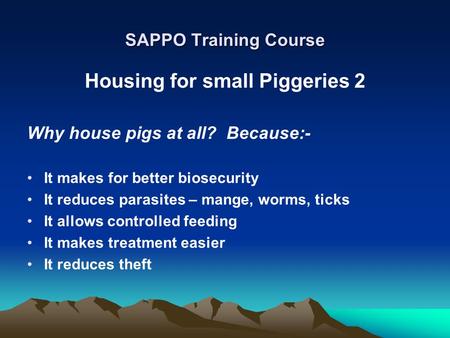 Housing for small Piggeries 2