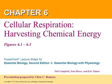 Cellular Respiration: Harvesting Chemical Energy Figures 6.1 – 6.5