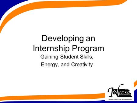 Developing an Internship Program Gaining Student Skills, Energy, and Creativity.