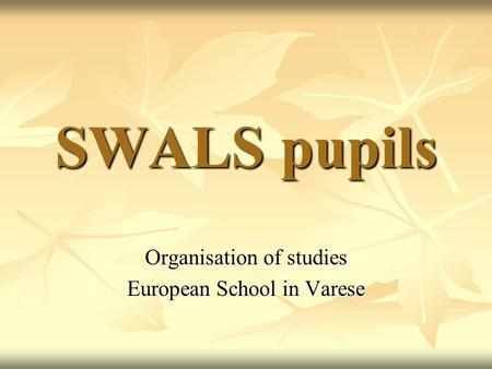Organisation of studies European School in Varese