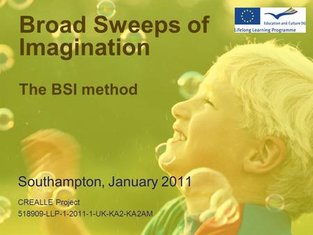 Broad Sweeps of Imagination The BSI method