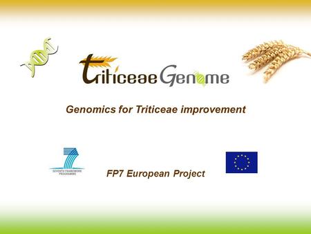 Genomics for Triticeae improvement FP7 European Project.