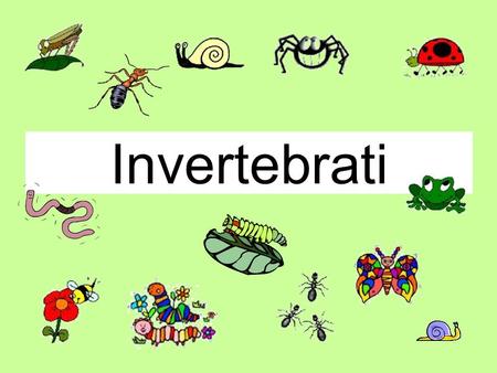 Invertebrati. This is a Magic PowerPoint or How to make sure this PowerPoint behaves like an Interactive Whiteboard.