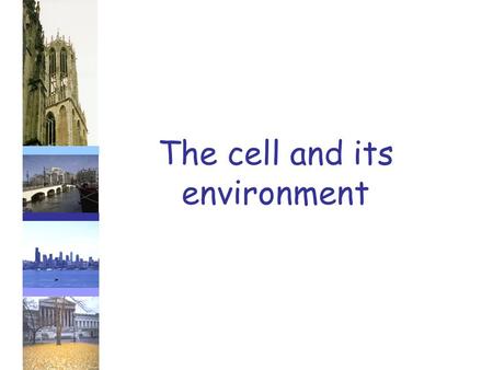 The cell and its environment