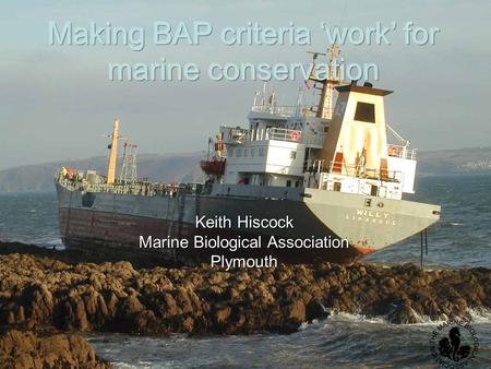 Making BAP criteria ‘work’ for marine conservation