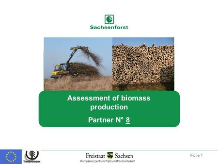 Assessment of biomass production Partner N° 8 Kompetenzzentrum Wald und Forstwirtschaft Folie 1.