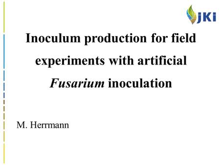 Inoculum production for field experiments with artificial Fusarium inoculation M. Herrmann.
