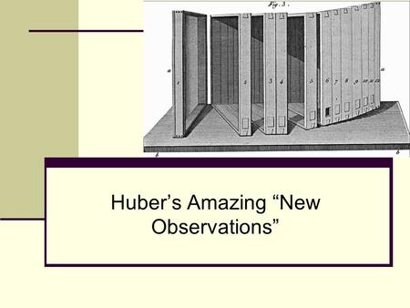 Hubers Amazing New Observations. Presentations online Before you take copious notes, all these presentations are online here:
