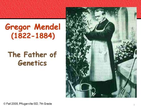Gregor Mendel ( ) The Father of Genetics Mendelian Genetics