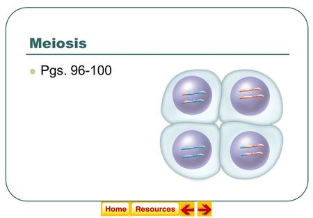 Meiosis Pgs. 96-100 Modified by Liz LaRosa 2011.
