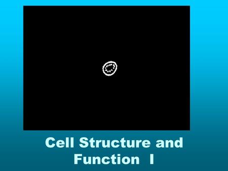 Cell Structure and Function I