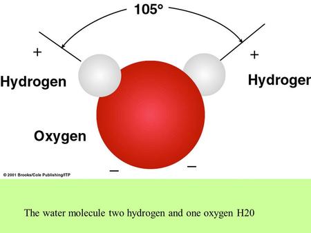 The water molecule two hydrogen and one oxygen H20