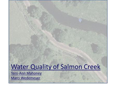 Water Quality of Salmon Creek Terri-Ann Mahoney Marci Wedemeyer.